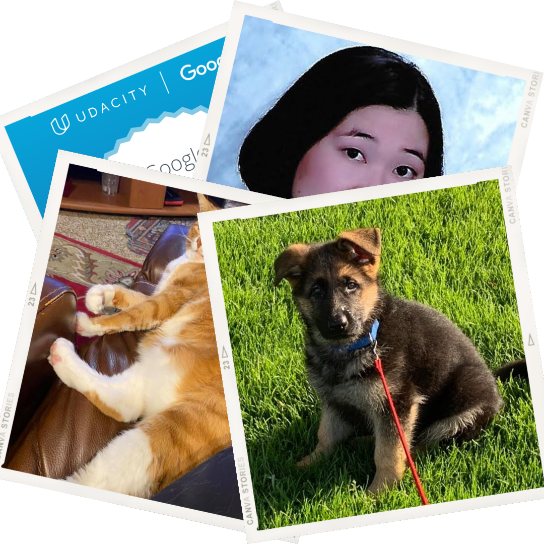 Polaroid images of Sarah Bartley, Moms Can Code, Lucky, and Elsie